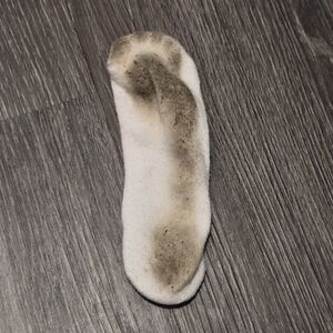 Well Worn Sock